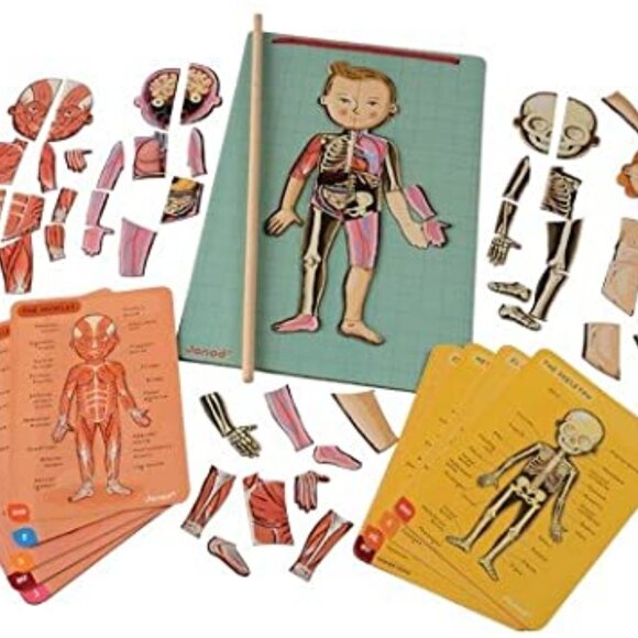 Janod-Body Magnet Human Body Game Magnetic Anatomy Puzzle For Age 7+ New in Box - Picture 7 of 16